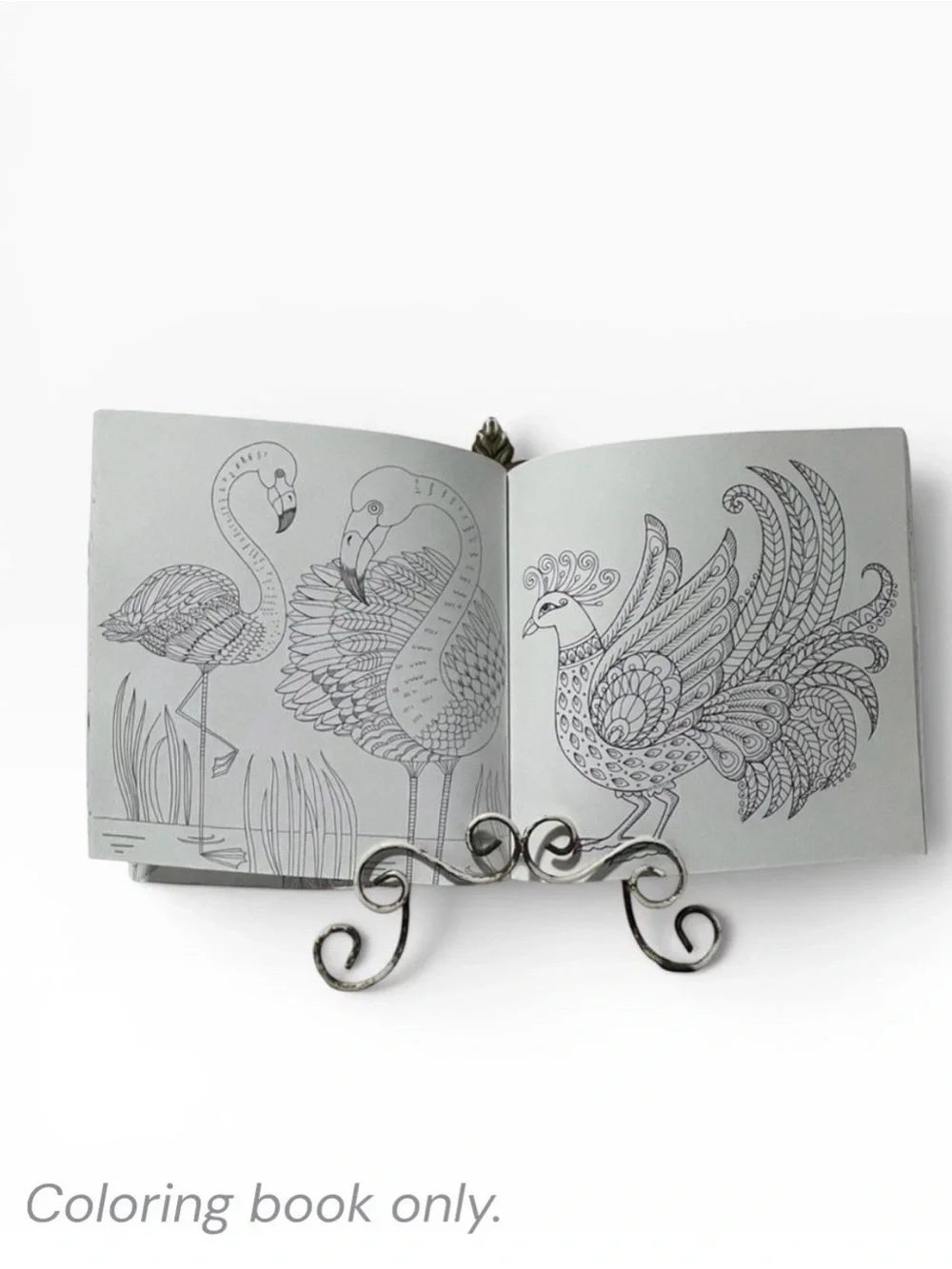 Wonders of Creation Adult Botanical Coloring Book | Fairycore